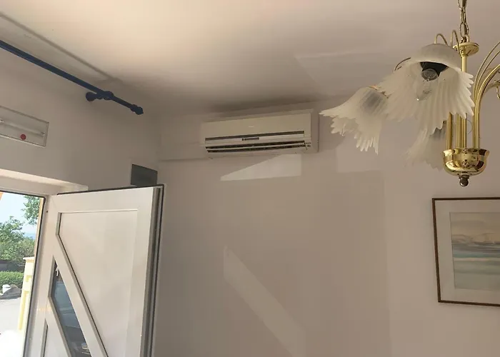 Noelle 3* 诺维·维诺多尔斯基