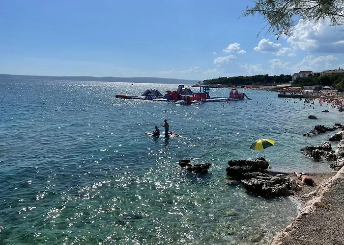 Noelle 诺维·维诺多尔斯基